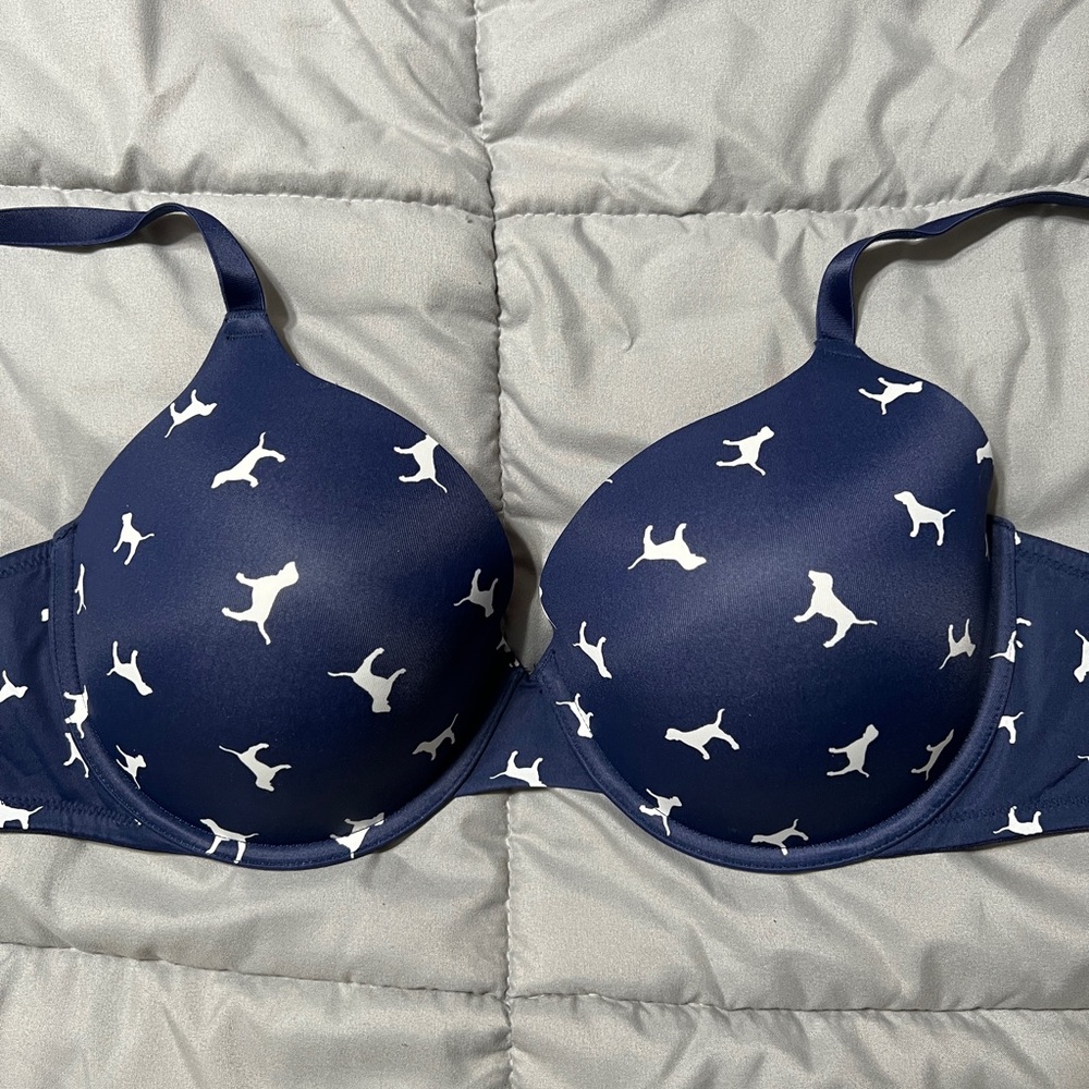 PINK Victoria’s Secret t-shirt bra 36DD